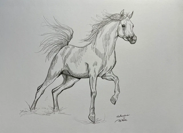 Visage De Cheval Blanc Cheval Blanc Avec Des Taches De Rousseur