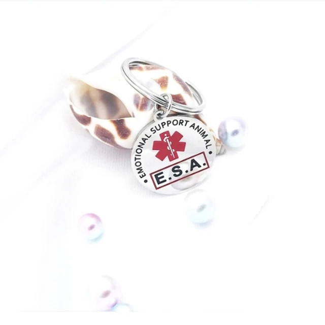 Accesorios de cuello creativo personalizado para mascotas antiperdidas con etiqueta de perro placa de identificación