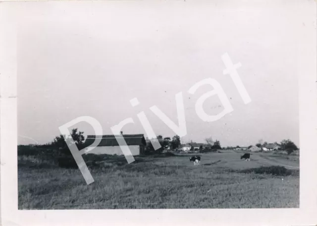 Foto WK II Wehrmacht Soldaten unterwegs Dorf in Russland Россия L1.28