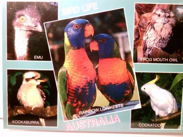 Australian Fauna. Bird Life. Set 2 x Mehrbild AK farbig, ungel. ca 80ger Jahre, 3