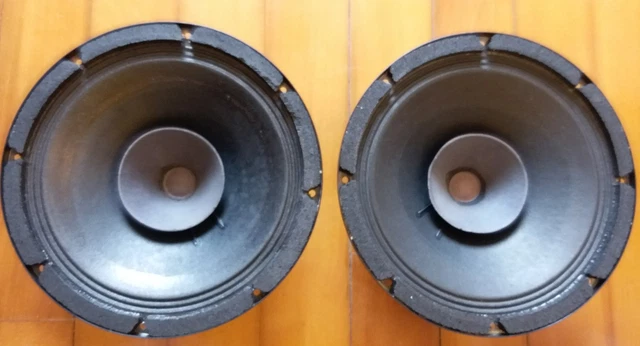 VINTAGE PHILIPS fullrange 10 inches speaker AD1065/M8