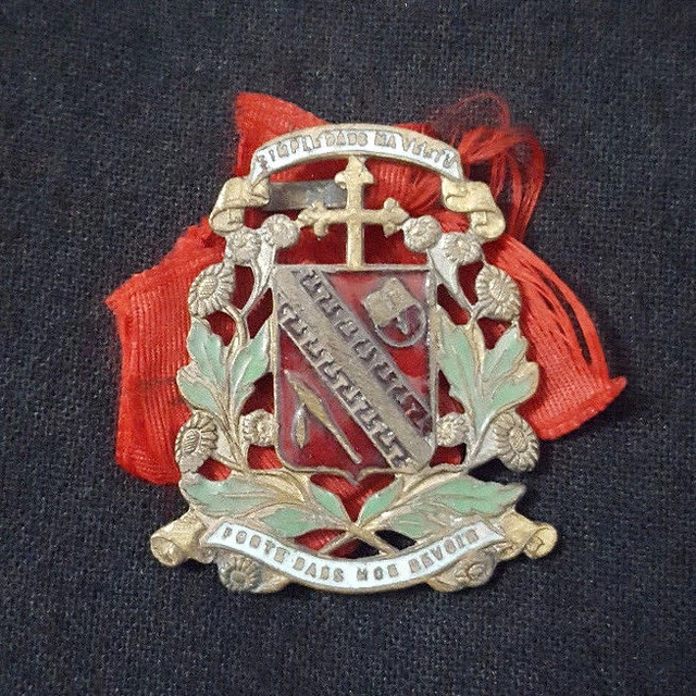 Achetez votre Pin's Médaille Militaire avec trophé - Magnino Achetez votre Pin's Médaille Militaire avec trophé - Magnino