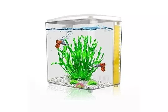Fish Tank 4.5L Betta Aquarium Starter Kits with Backwall Filter, Led Light.