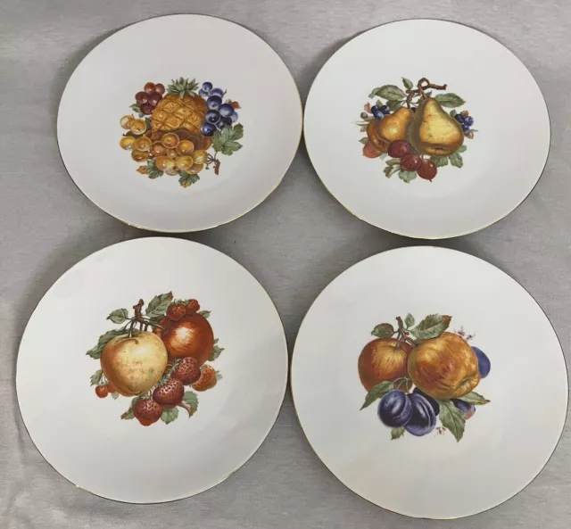 Bareuther Waldsassen Bavaria Fruit Nut Berry Set of 4 Salad/Dessert Plates -EUC