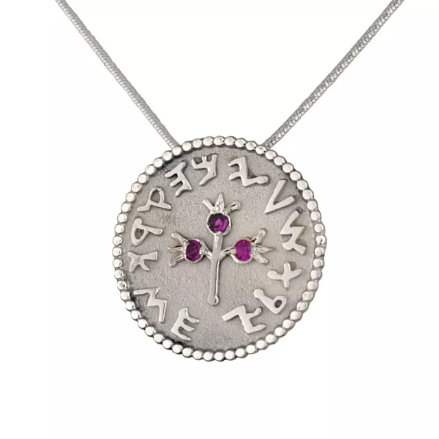 New Sterling Silver Half Shekel Coin Pendant Judaica Jewelry Necklace Pink Ruby