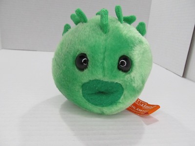giant microbes chlamydia