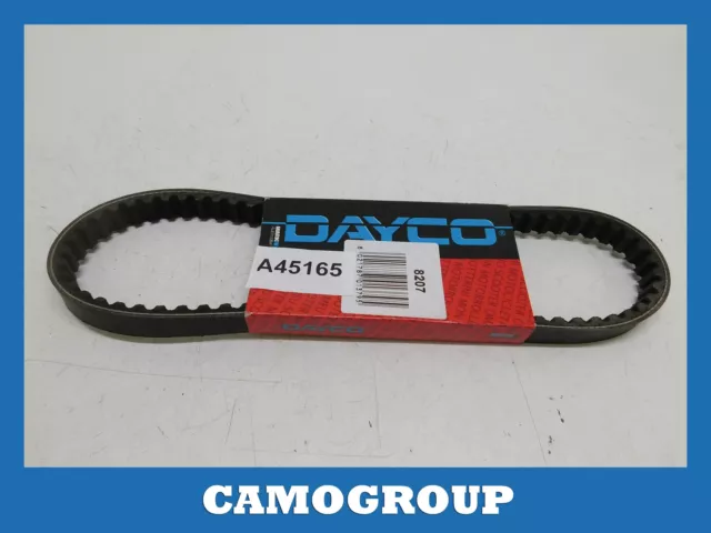 Cinghia Trasmissione Dentata Toothed Transmission Belt Dayco Piaggio Fly 8207