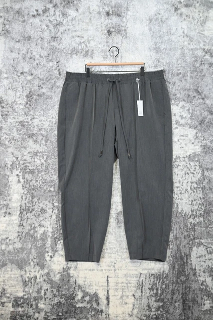 New Lane Bryant Gray Front Pleat Drawstring Waist Ankle Dress Pants Size 22 / 24