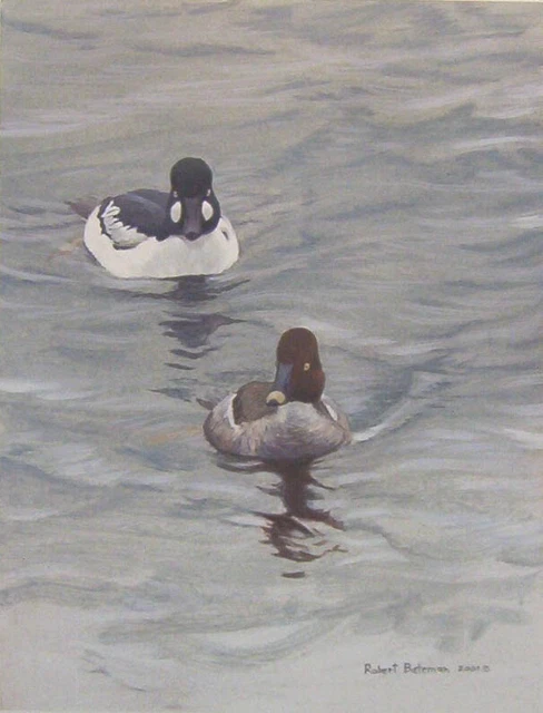 Robert Bateman Goldeneye Pair