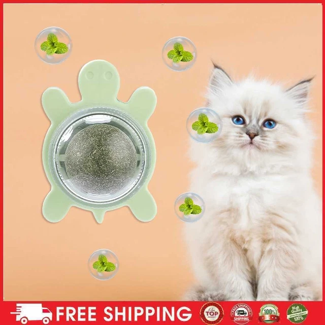 Snack leccanti caramelle gatto tartaruga nutrizione palla energetica forniture interattive per animali domestici