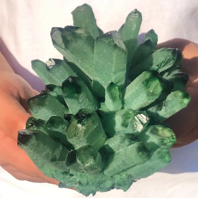 3.47LB New Find Green Phantom Quartz Crystal Cluster Mineral Specimen Healing