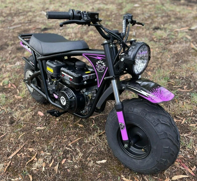 Mini dirt bike with fat wheels, FATCAT offroad, Purple