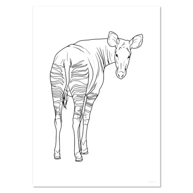 'Okapi Looking Back' Wandplakate/Drucke (PP046412)