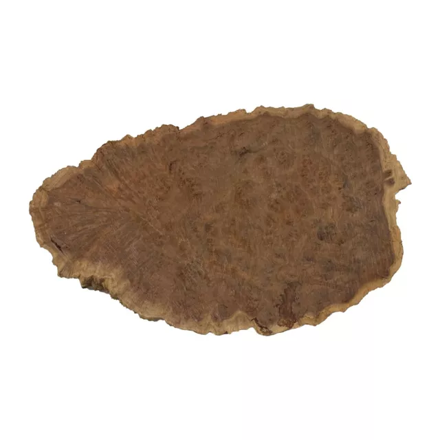 Australian Red Mallee Burl Cookies 15" x 9-1/2" x 1-1/4" 5 lbs #940 3