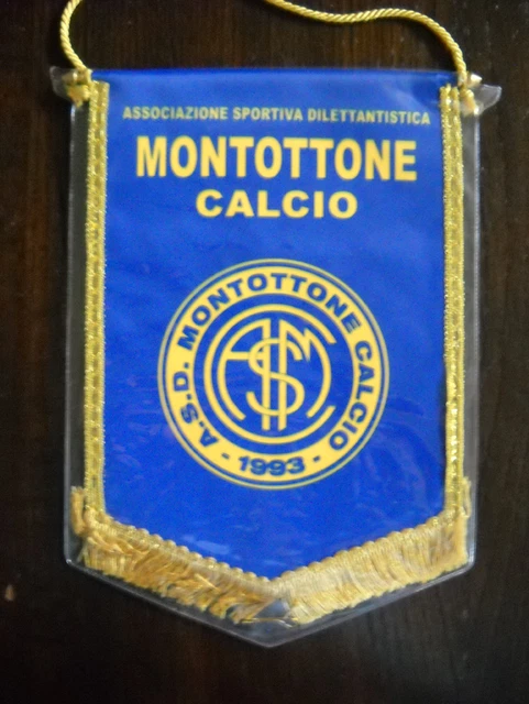 Gagliardetto G.O.A.L. CARIPLO CALCIO wimpel pennant football Banderin