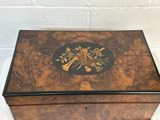fine Edwardian Victorian 1800s burl walnut lap desk box birdseye maple inlaid 3