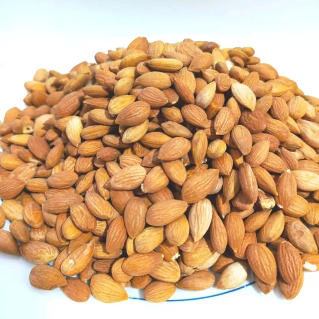 Organic Apricot Kernels,Seeds,No Shell Pure From The Raw Material is Of High%100