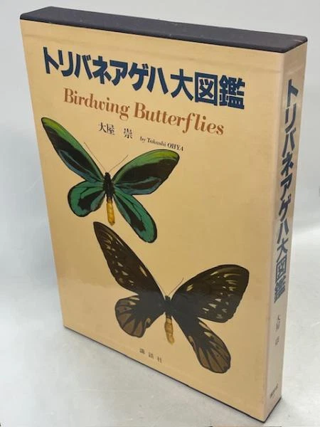 ◆ おちゃ ◆ 🇯🇵/🌌/💎]: Hinomori Shizuku's「With the Attitude of a