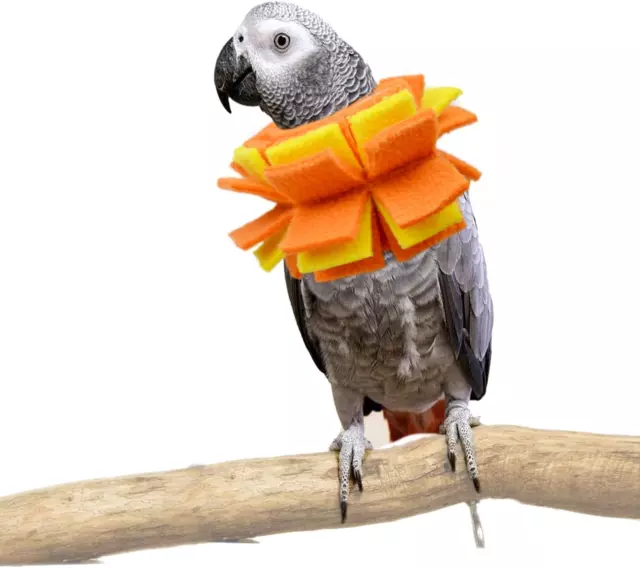 Neck Collar for African Grey Parrots Feather Plucking Bird anti Bite Collar Neck