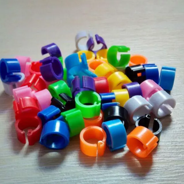 100 pz clip fascia gamba pollame Ri xhC*/t