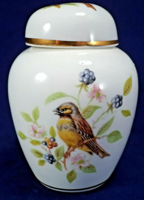 Miniatur Porzellan Urne & Deckel Gelbhammer Vögel Brombeeren 'Woodland China Derby' 2