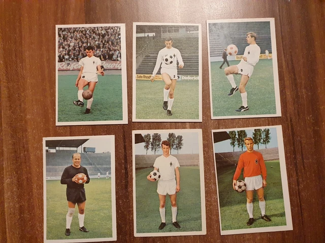 Bundesliga Sammelbilder 1967/68/Borussia Mönchengladbach 6 Bilder/Bergmann