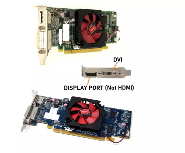 AMD Radeon HD 6450 1GB Graphics GPU card for Desktop (Low Profile) DVI+DP Ports