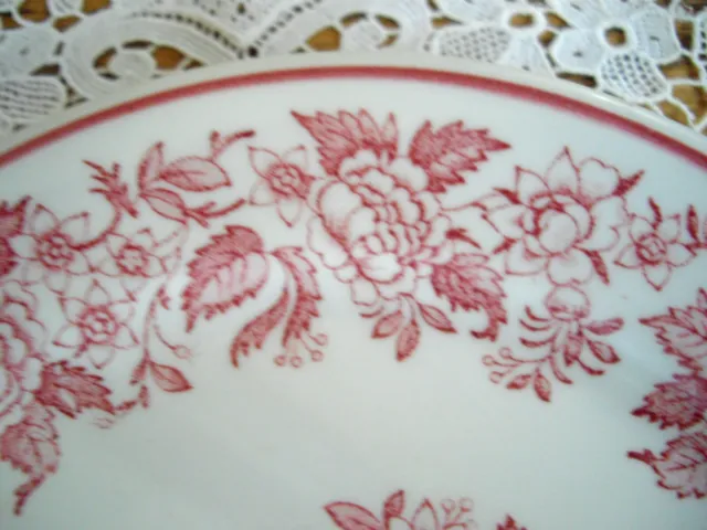 Vintage Jackson China Syracuse Restaurant White w/ Pink Flowers 7 1/8" Plate ~ 3