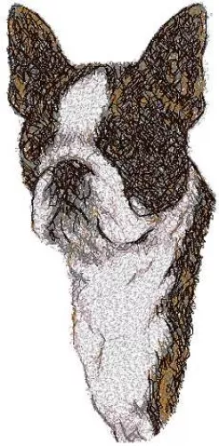 Embroidered Ladies Jacket - Boston Terrier AED14284  Sizes S - XXL