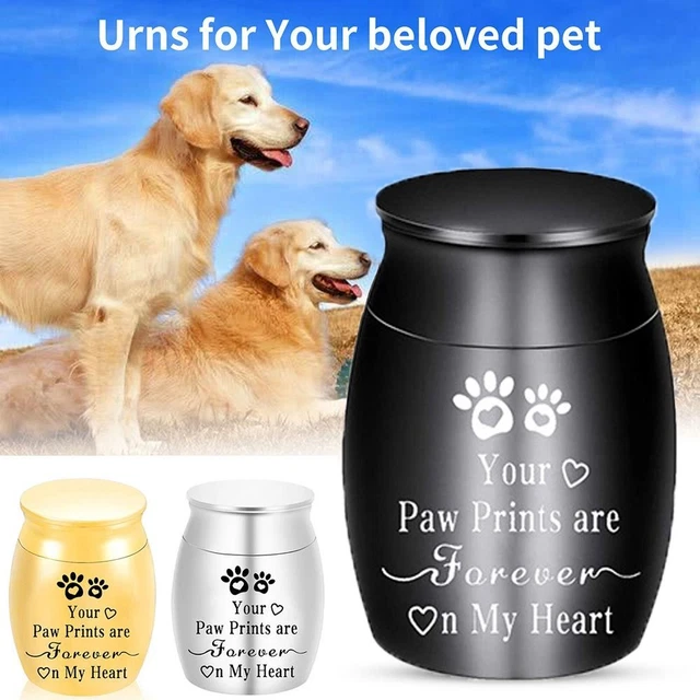 Stainless Steels Pet Urn Sealed Urn Jar New Memorial Jar  Small Dog Cat
