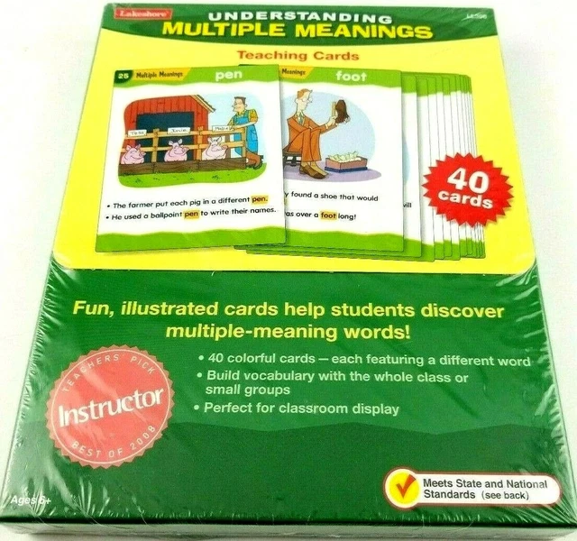 NEW! UNDERSTANDING MULTIPLE Meanings Teaching Cards 40 Cards Ages 6