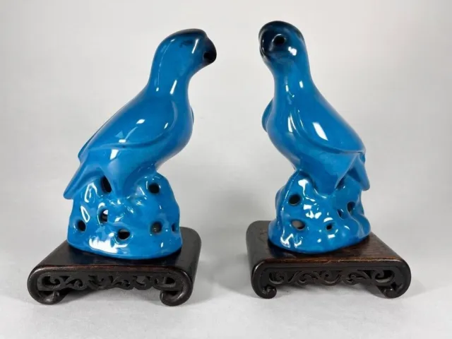 Couple of parakeets from 19th century China / parakeets/ Parrots blue antic