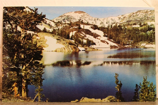 California CA Tioga Pass Ellery Lake Postcard Old Vintage Card View Standard PC