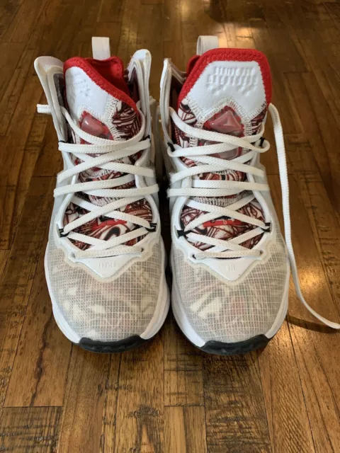 Size 5 Lebron 19 Sketch Kids