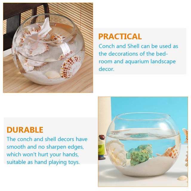 3 Sets Conchiglia Di Abbellimento Della Seashell Arredamento Tavolo Oceano