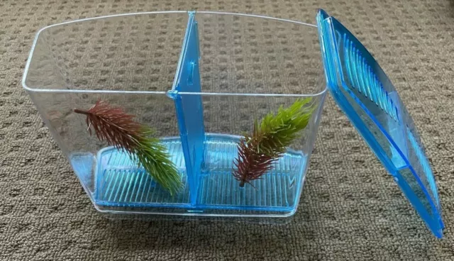 ~Petworx / 2 Bay / Fighter Fish Tank / 1.5L~