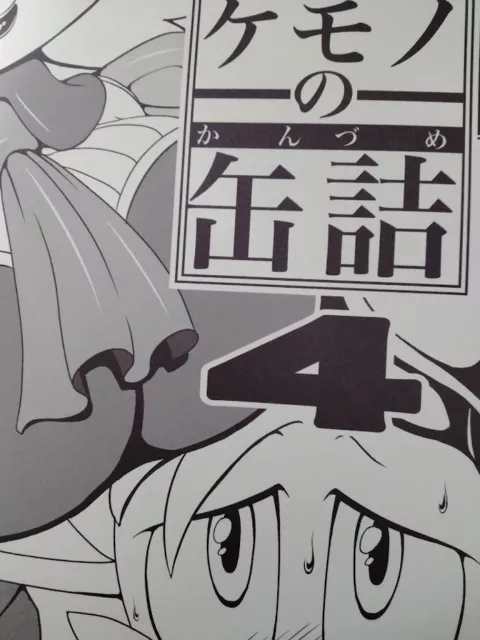 Sonic the Hedgehog Doujinshi Sonic X Shadow (B5 50pages) ROOT8Beat