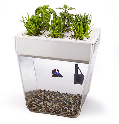 AquaFarm Self-Cleaning Organic Plant Growing Aquaponics Fish Tank / Aquarium Kit