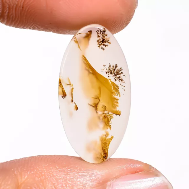 09.50 Cts. Classic Scenic Dendritic Agate Oval 23X12X2 MM Cabochon Gemstone