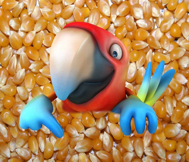 1,5kg Profi Popcornmais ,genfrei+250ml Popcornöl+ bunter Zucker