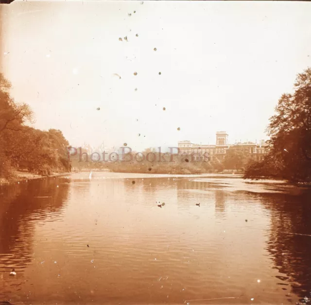 Großbritannien UK London St Jamess Park Foto Stereo Platte De Verre Vintage 1933