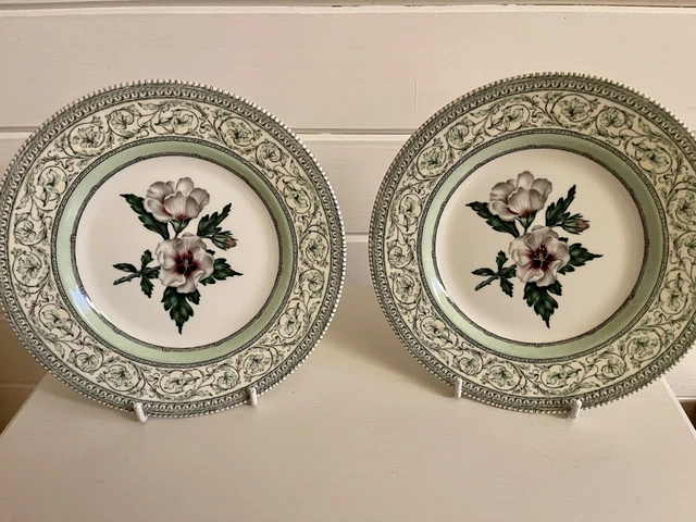 Royal Horticultural Society Applebee collection Lavatera 2 x breakfast plates #7