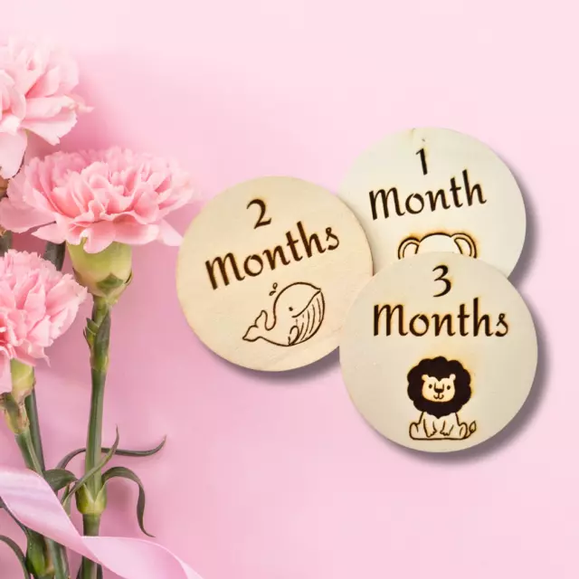 13 Wooden Baby Milestone Cards Discs , Baby Gift, Baby Shower , New Mum, newborn