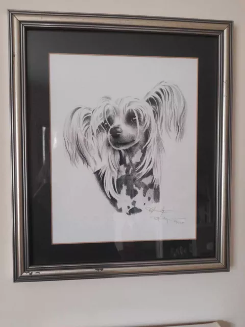 Beautiful Chinese Crested Dog Framed Print Limited Edition
