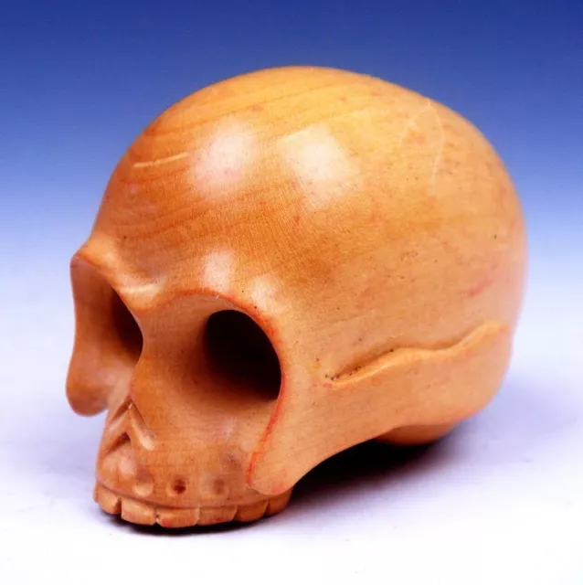 Japanese Boxwood Hand Carved Netsuke Sculpture Human Skull Skeleton #02052301