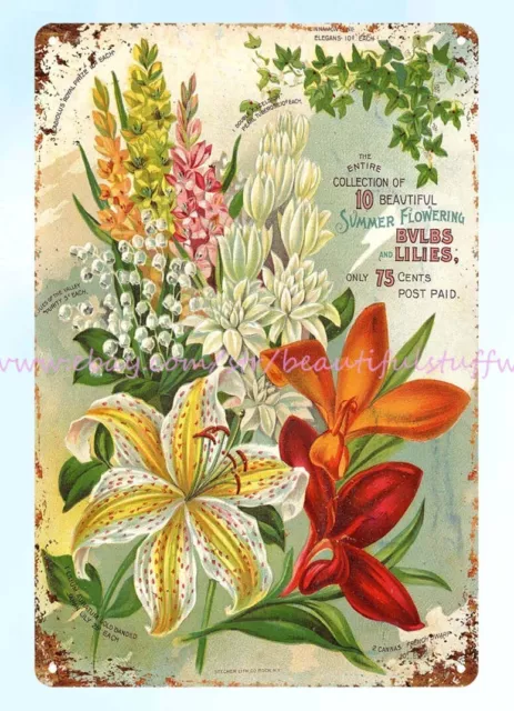 1896 Verano Floración Bulbos Lirios Flor Vegetal Jardín Metal Letrero Estaño