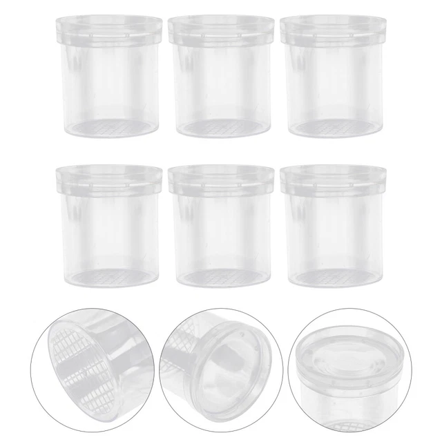6Pcs Transparent Observation Cup Viewer Box Critter Catcher
