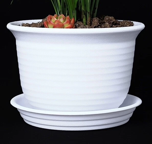 6 Inch Plastic Round Drainage Plant Pot with Saucer Tray Outdoor Indoor flowers