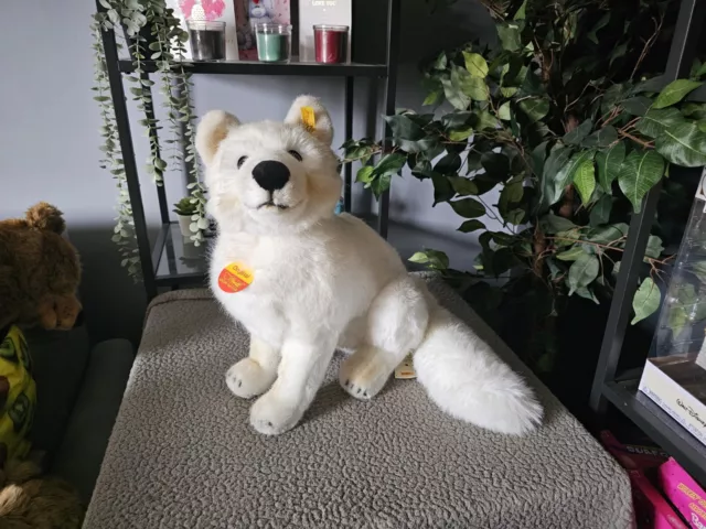 Steiff Studio Arctic Fox / Dog Sitting - 501401 - Rare / Retired With Tags