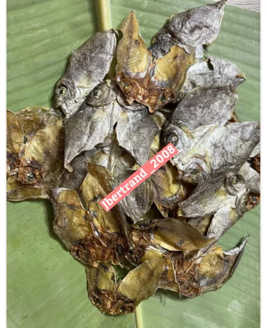Dried Fish Bulad Unsalted Danggit  From Cebu Bantayan 100g Buy 5 Get 1 Free